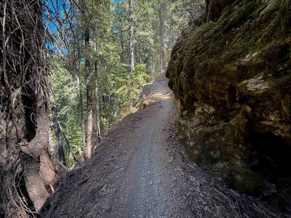 Butcher Ranch  trail photo