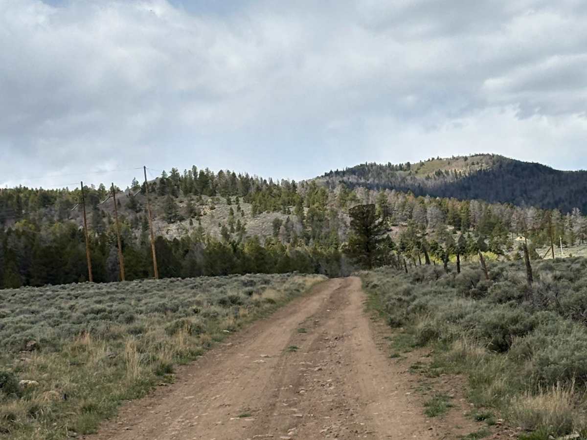Old Railroad Road photo 4
