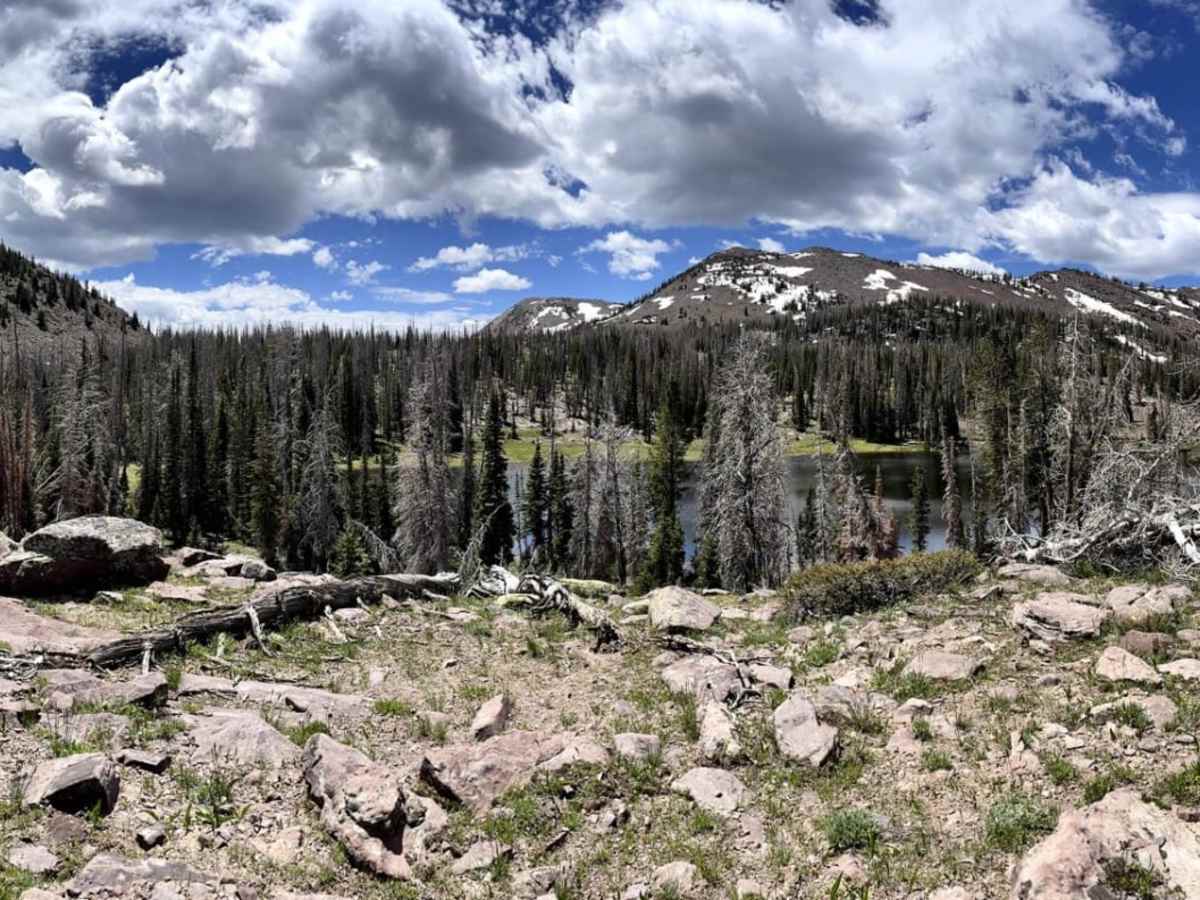 Gardners Fork trail photo
