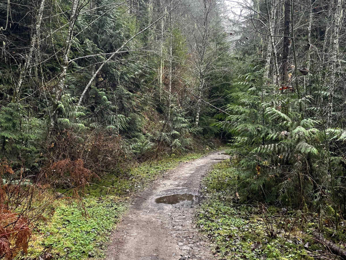 Ring Creek Rip trail photo