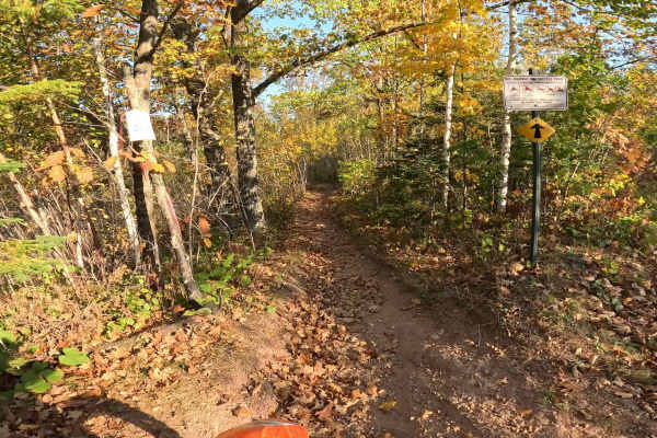 Straight Arrow Long Trail