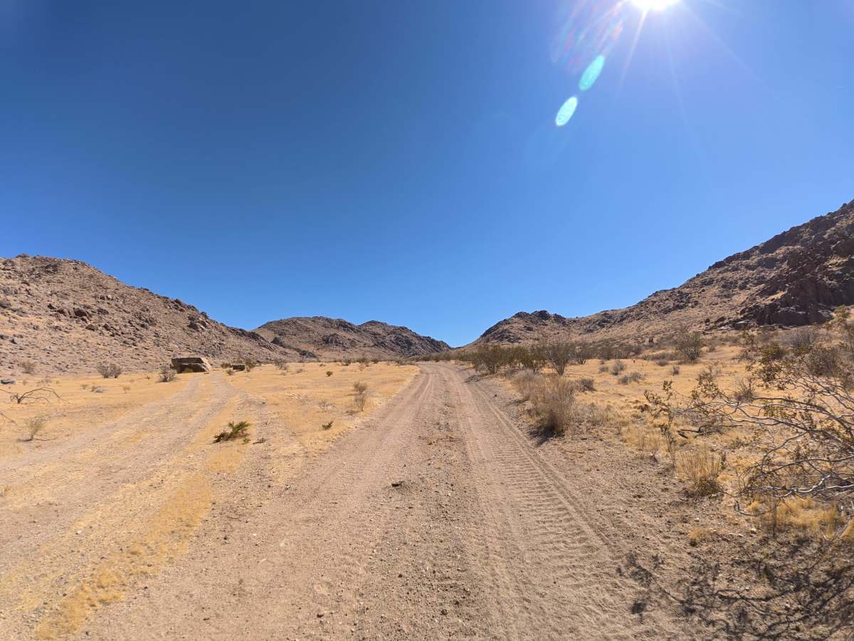 BLM SV2673 photo 5