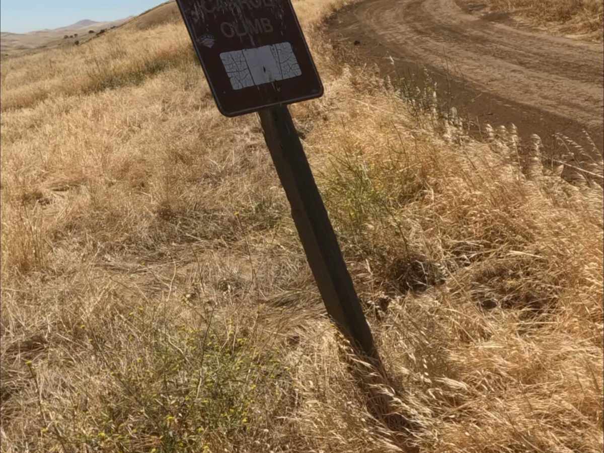 Carrol Climb photo 3