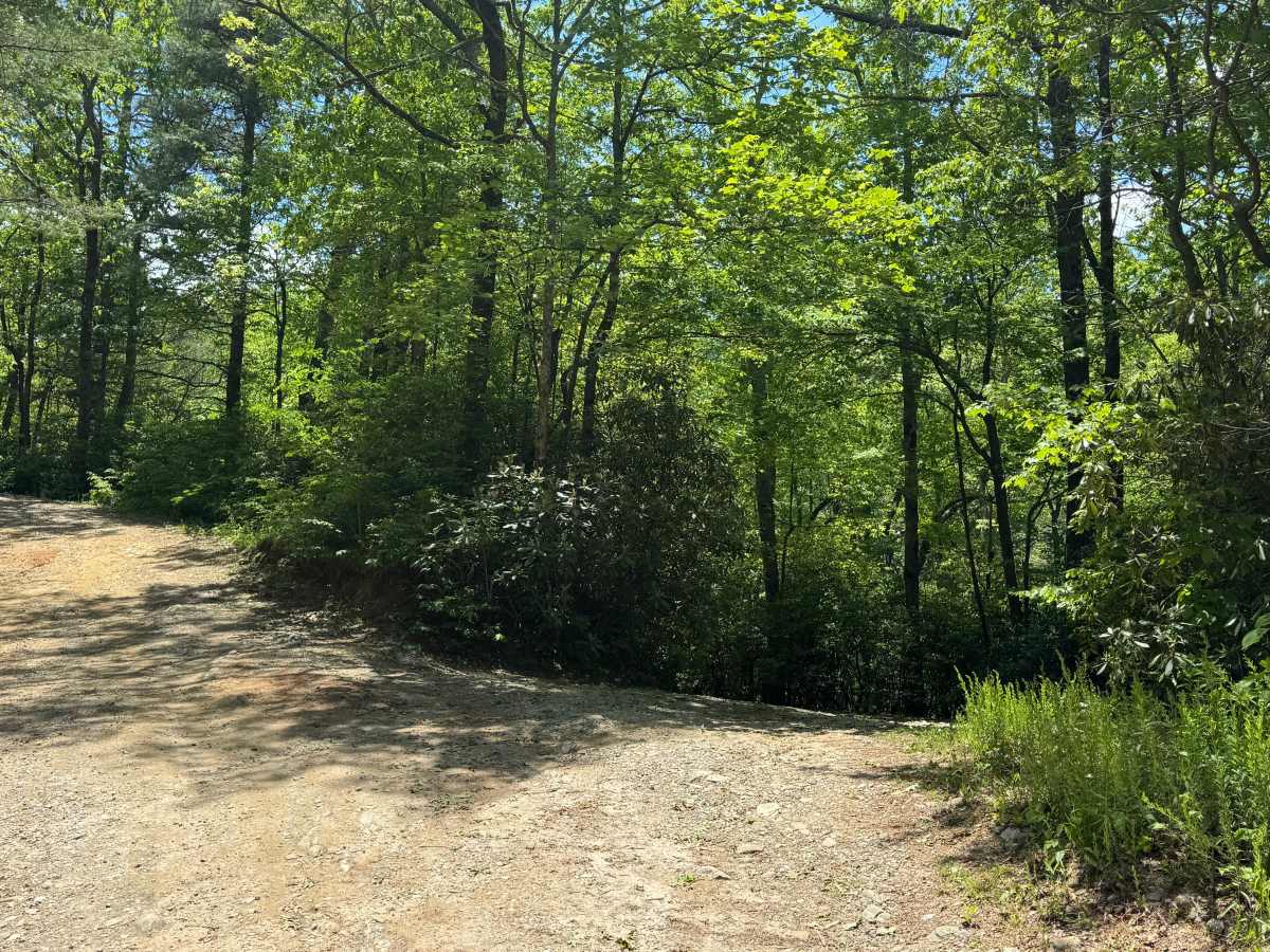 Rock Creek Lake - FS 69A trail photo