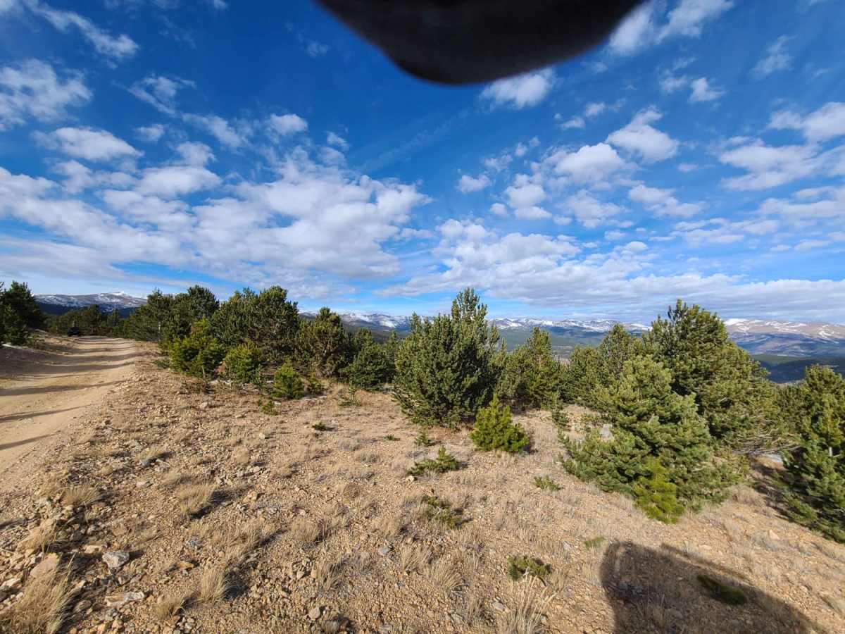 Yankee Hill / Mosquito Creek photo 6