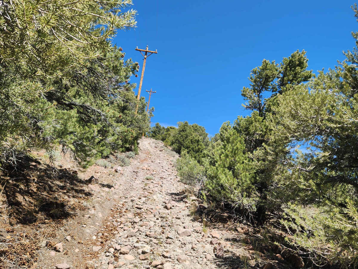 Rawe Peak West Trail trail photo