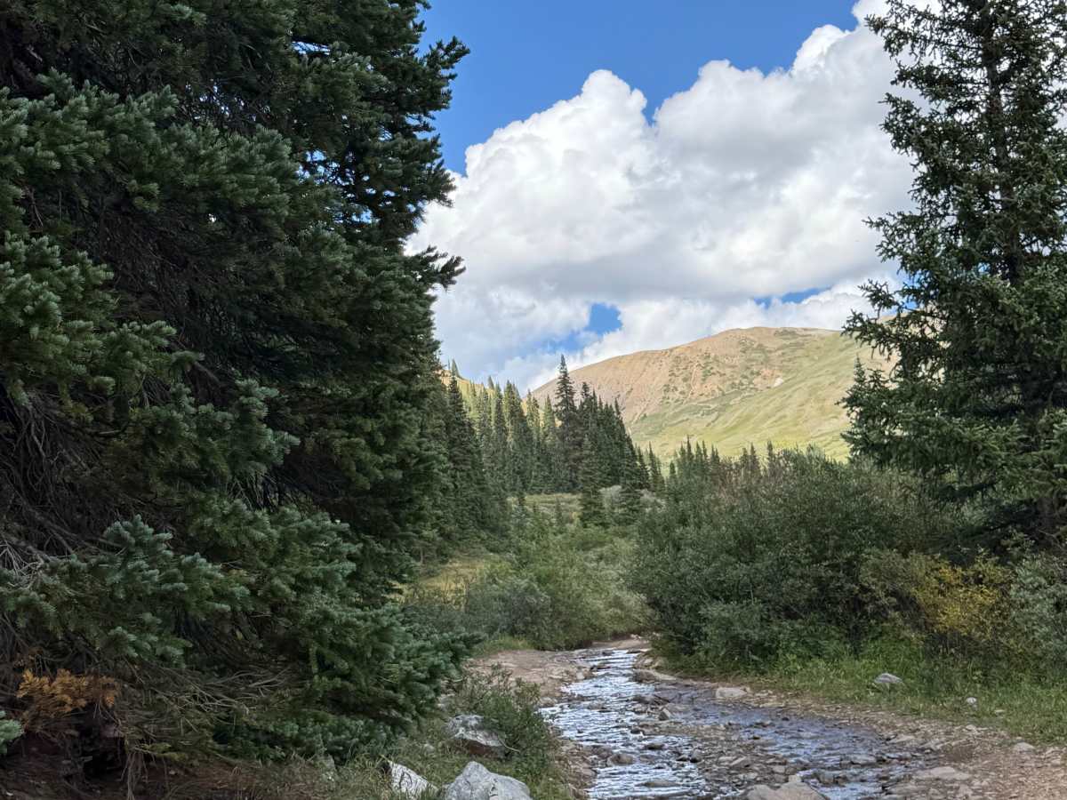 Cement Creek Road - FS 740 photo 6