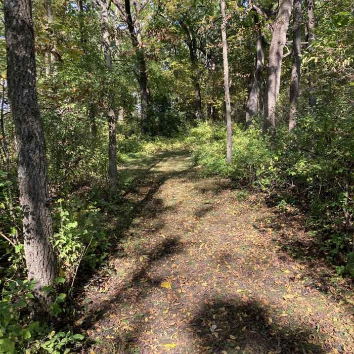 Near Vista Nature Loop Near Vista Nature Loop