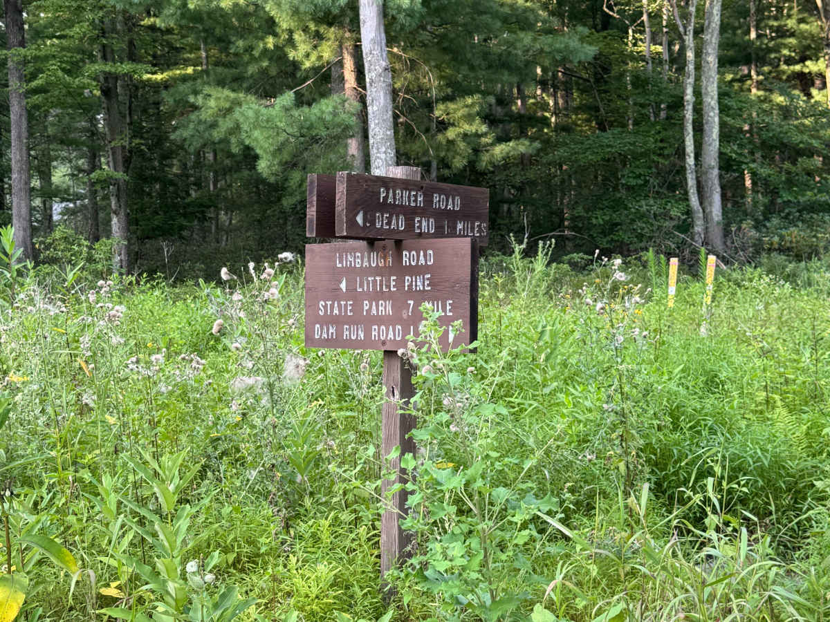 Parker Road trail photo