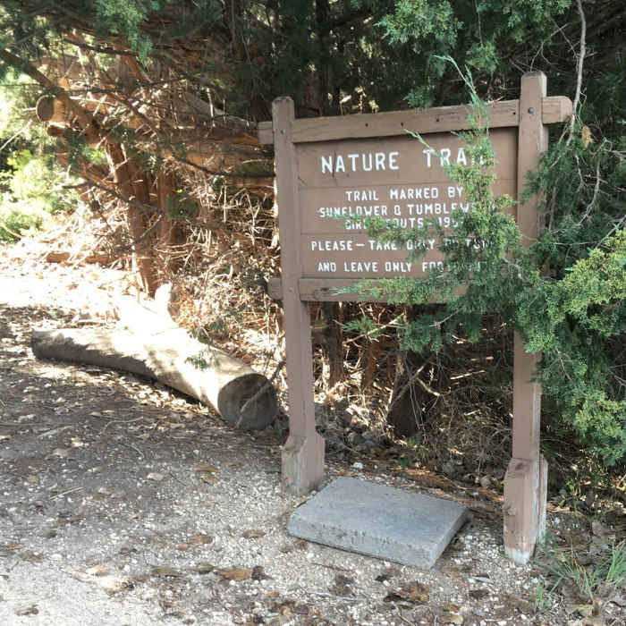 Near Scott Lake Loop Trail