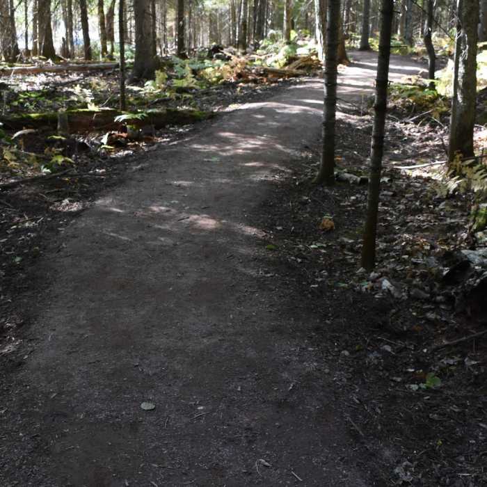 Near Sugarloaf Mountain - Easy Trail Near Sugarloaf Mountain - Easy Trail