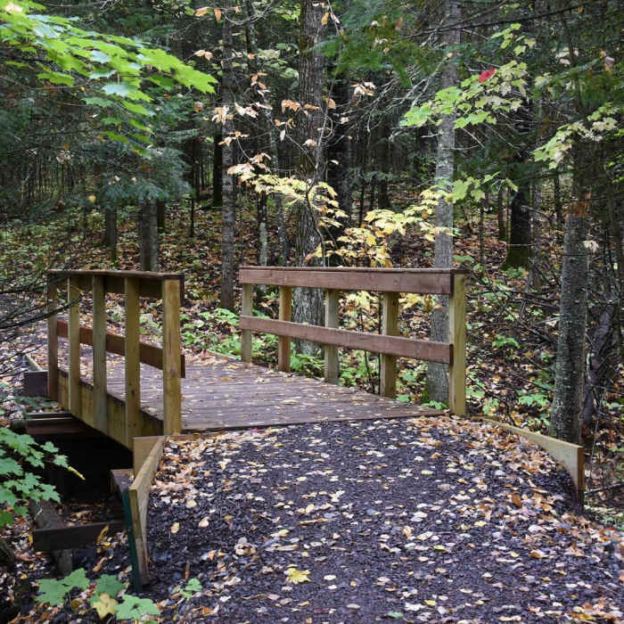 Near Big Manitou Falls River Trail Near Big Manitou Falls River Trail