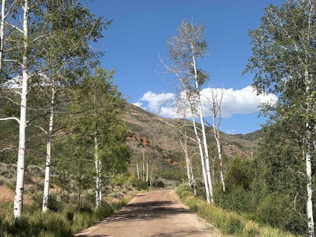 East Brush Creek Road - Ingress photo 6