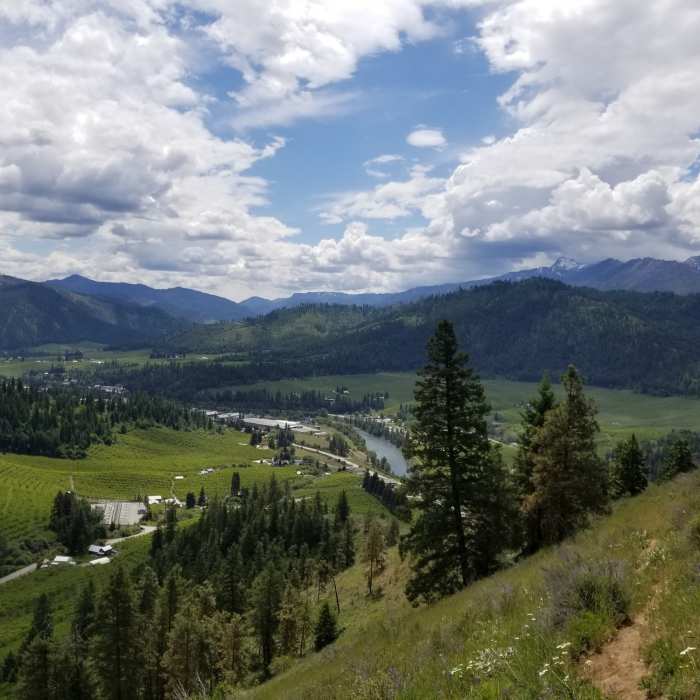 Near Sauer's Mountain