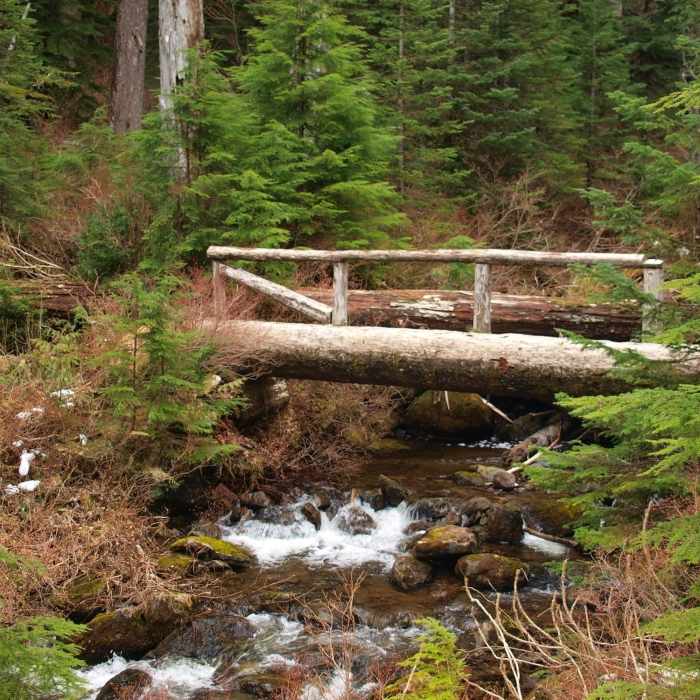 A bridge on the Bell Creek Trail Near Bell Creek Trail #459