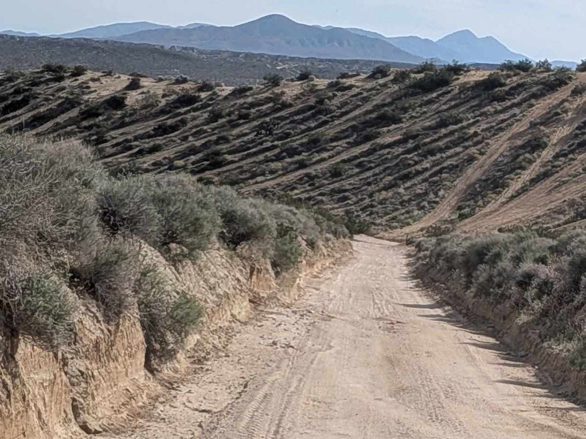 BLM SC192 photo 3