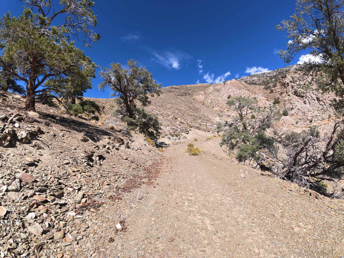 Gunter Canyon trail photo