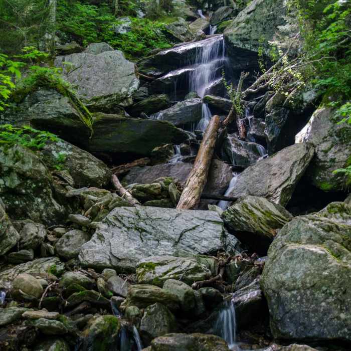 Near Mount Mansfield via Hell Brook + Long Trails Near Mount Mansfield via Hell Brook + Long Trails