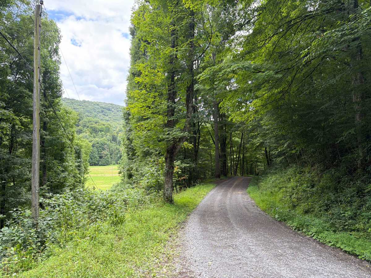 George Hill Road photo 3