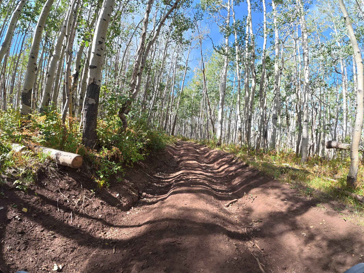 U C Creek Road photo 5