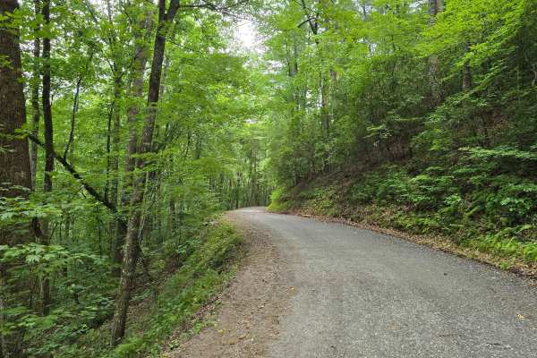 Leatherwood Road - FS 6176