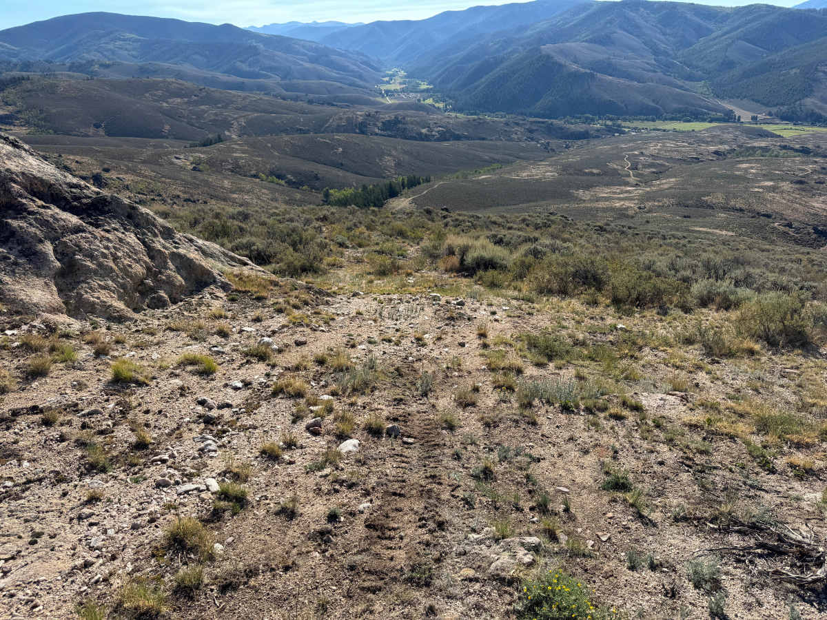 BLM 3102B photo 5