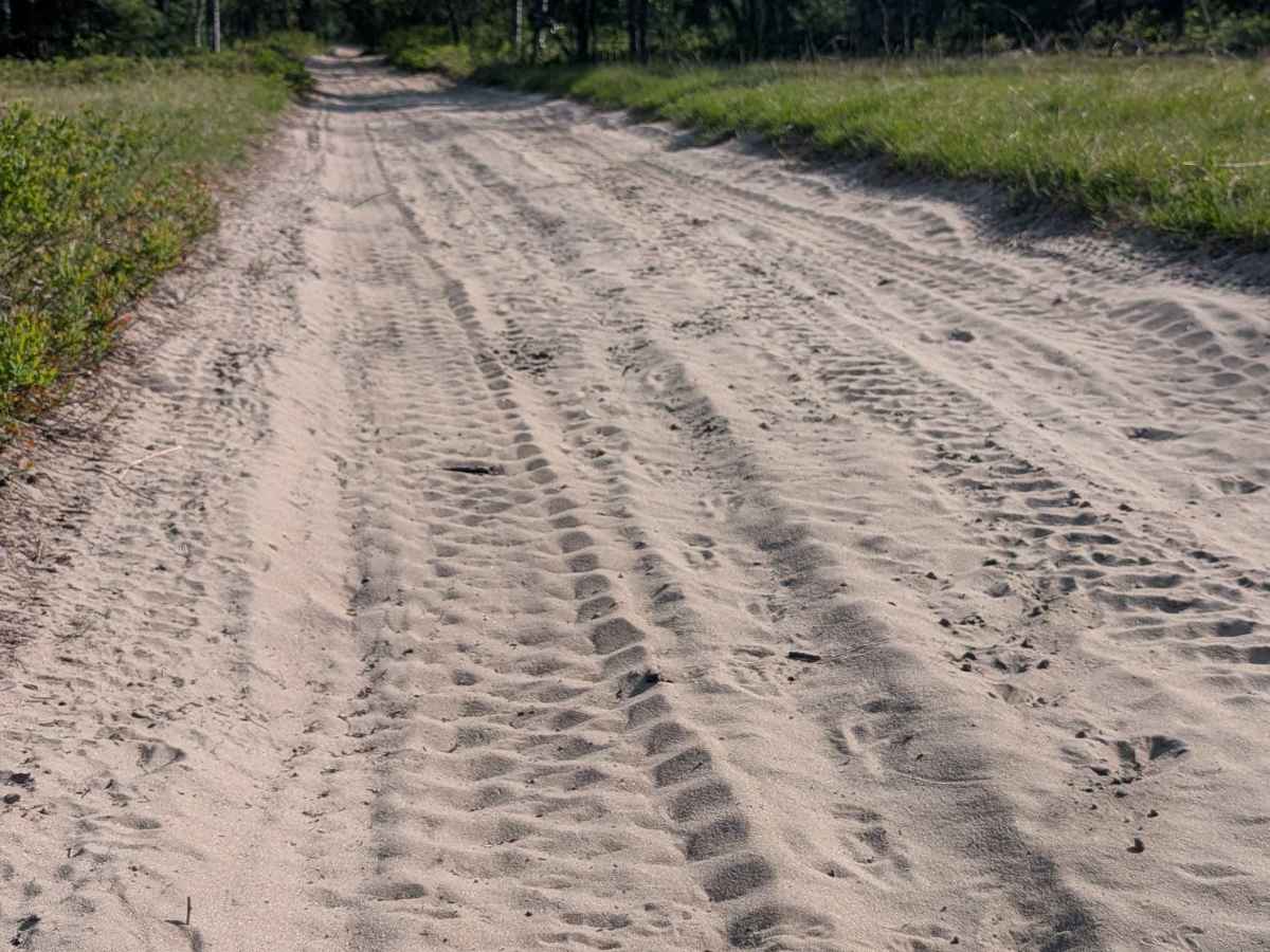North Missaukee Route (Section 3) trail photo