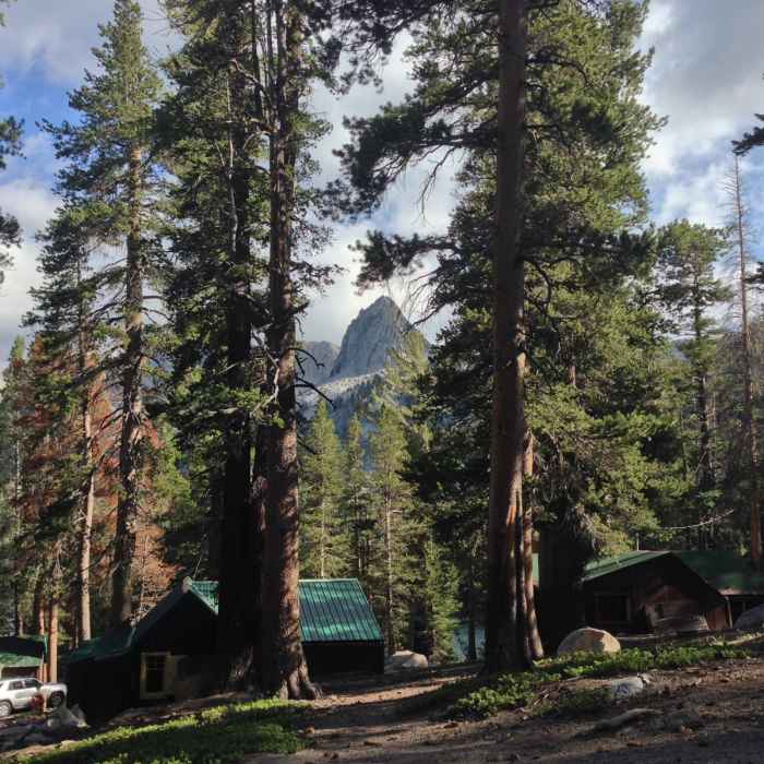 Near Mammoth Crest Trail