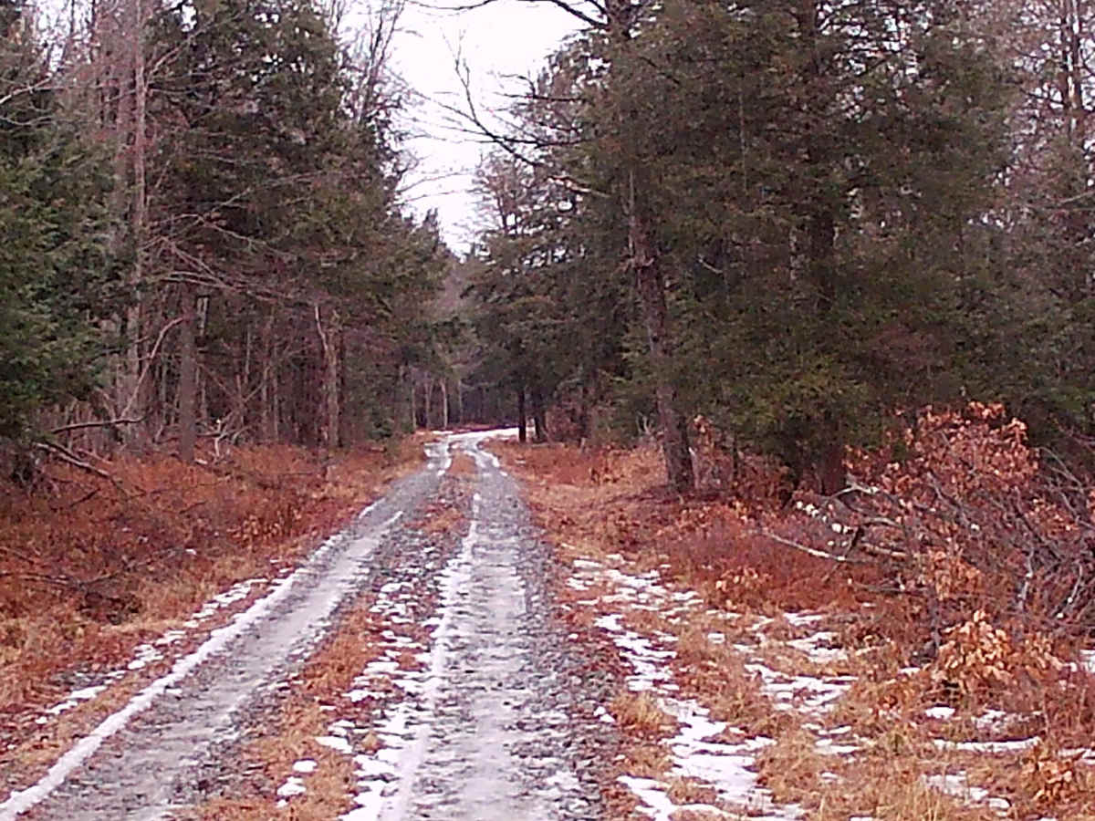 Hottenstein Road photo 5