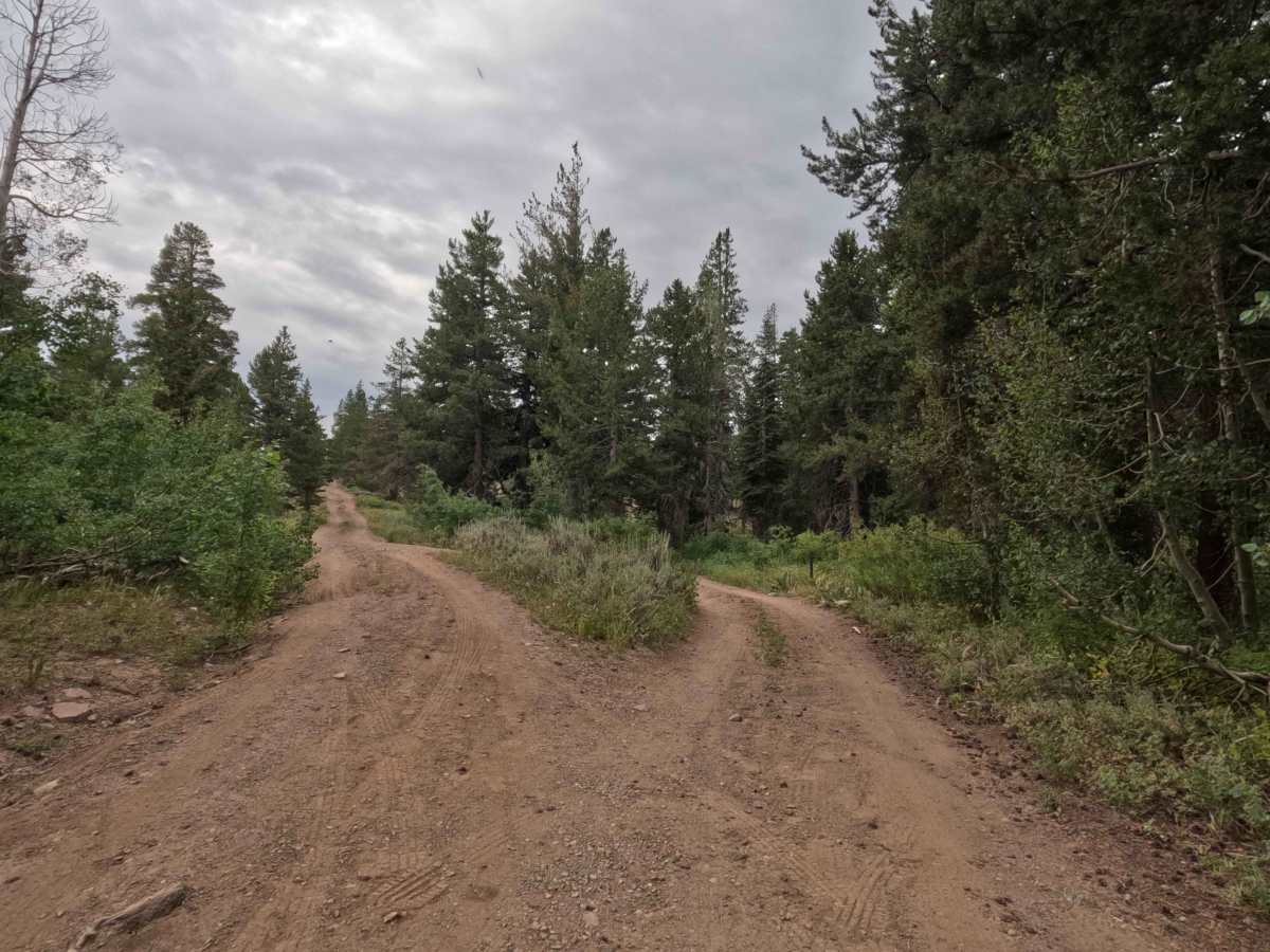 Lower Charity Road - FS 31206 photo 4