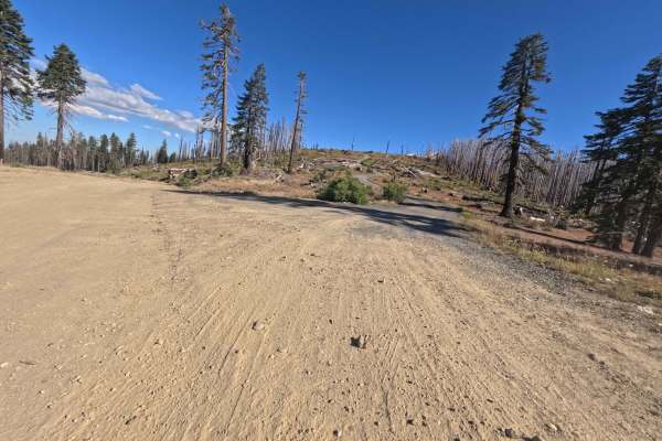 Boundary Road - FS 22N26