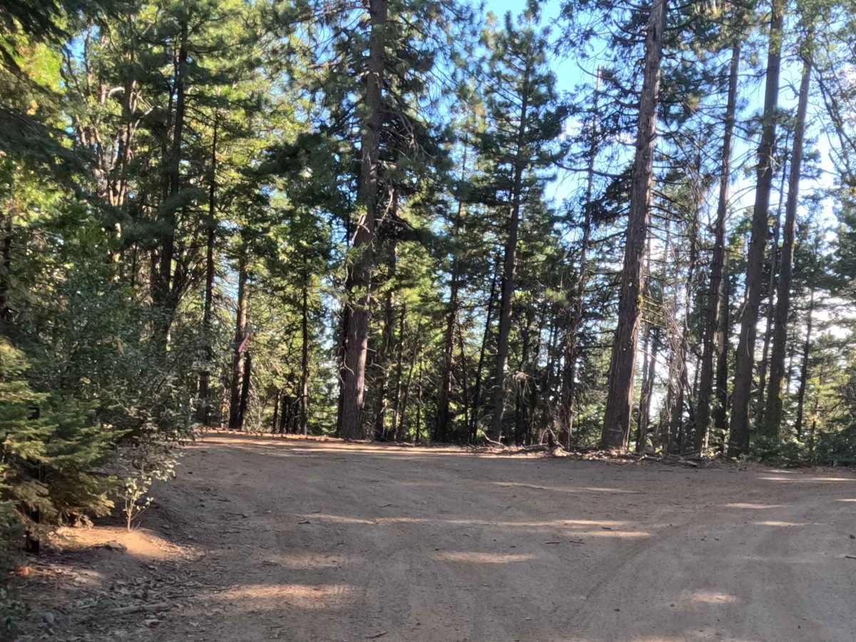 Summit Cutoff - 5S009X trail photo