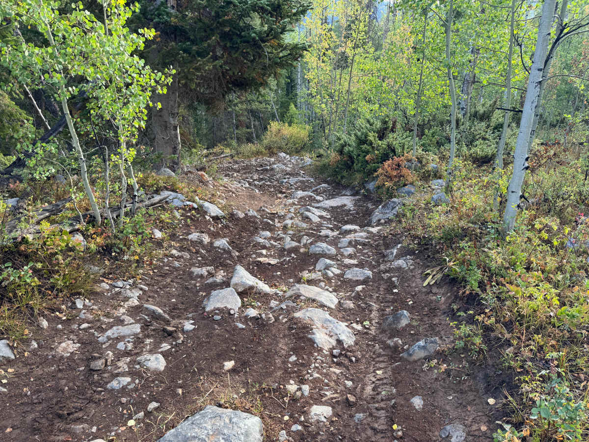 Little Deadman Road photo 4