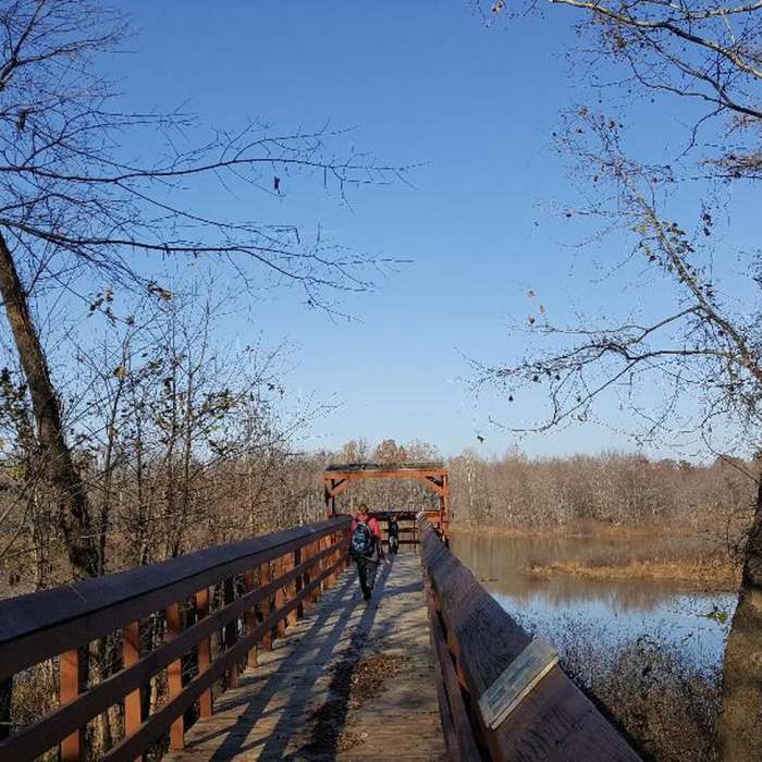 Near Main Trail