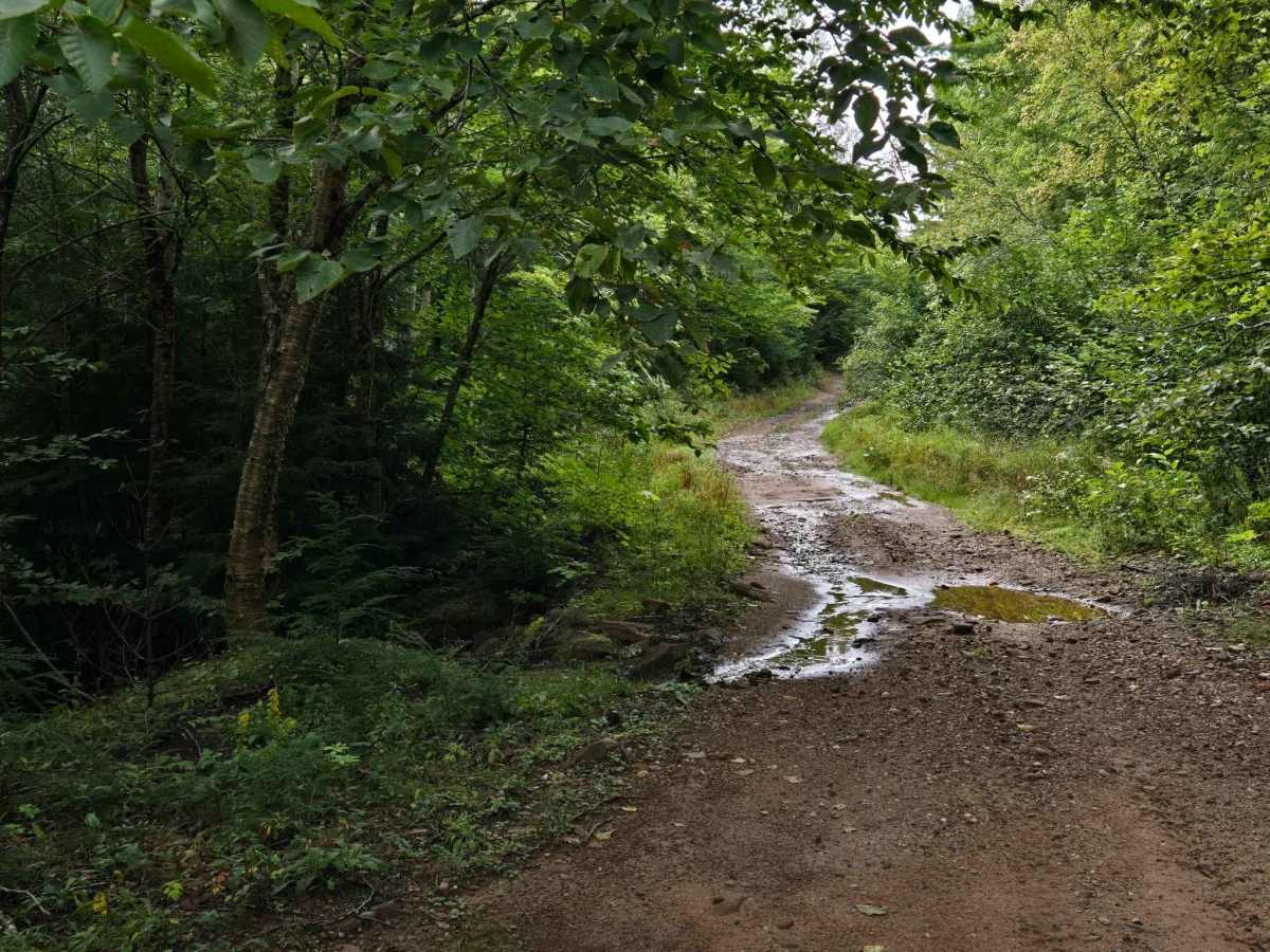 Shaw Road photo 4