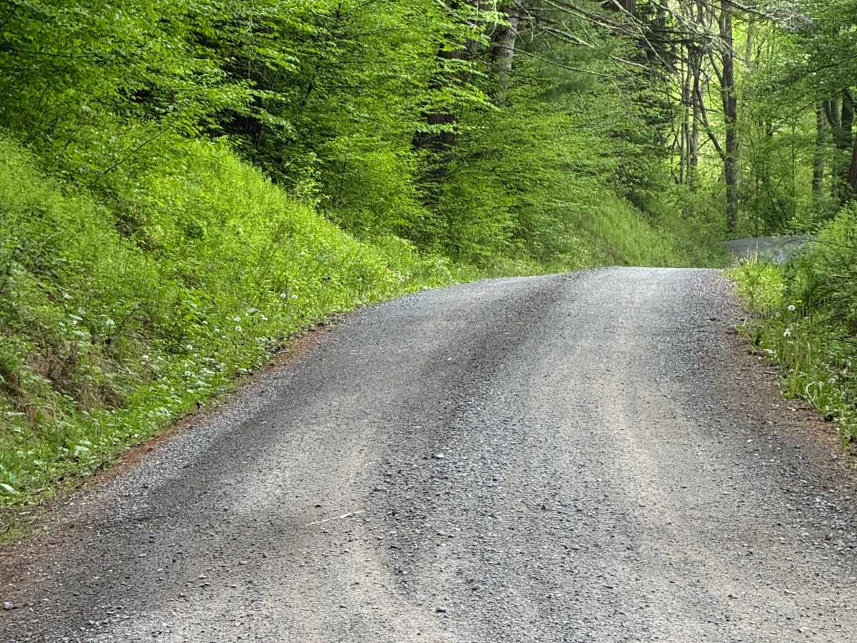 Stoney Run Road photo 6