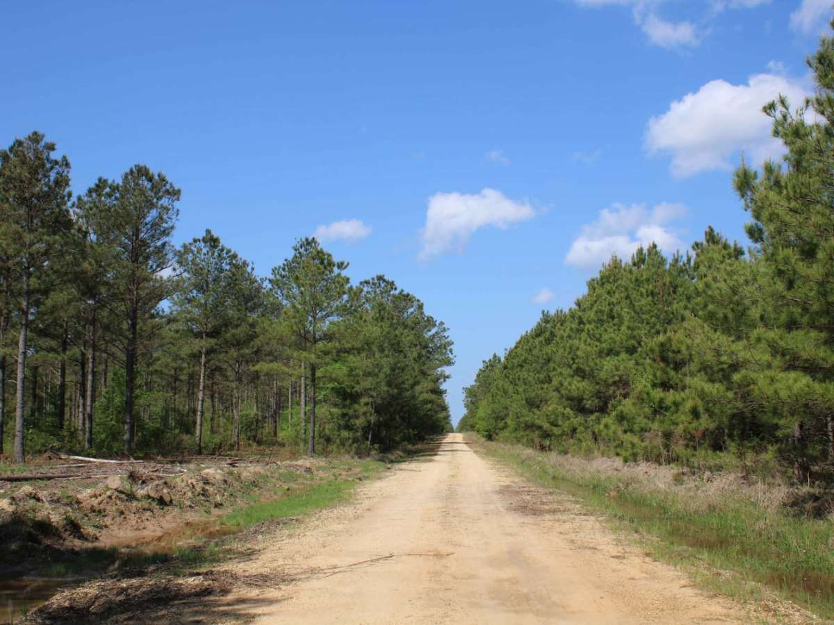 The Arkansas Overland Route - TrailHawk Loop - Section 15 photo 4