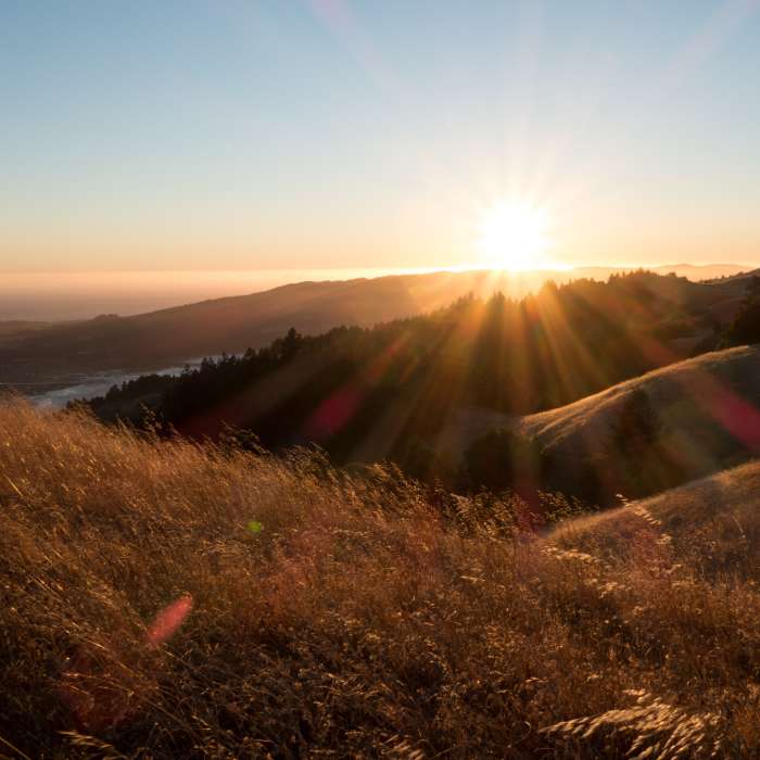 Pacific coast sunset. Near Willow Camp Fire Rd.