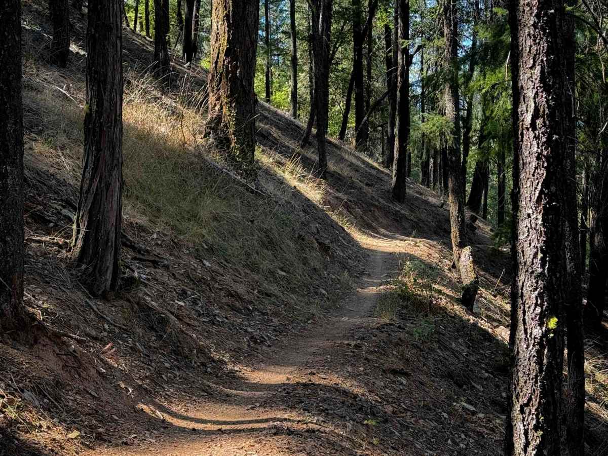 Huffleberry trail photo