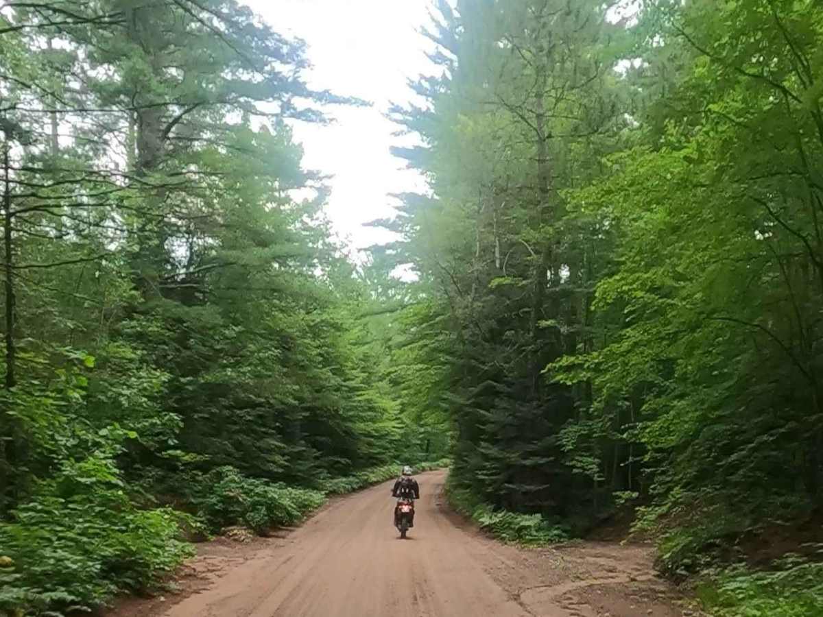 Baraga Plains Road trail photo