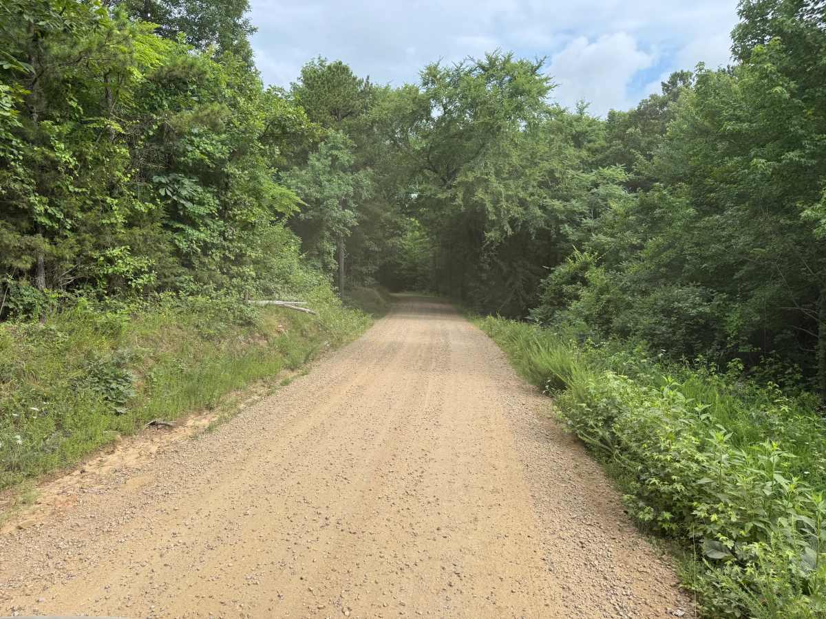 North Web Road photo 5