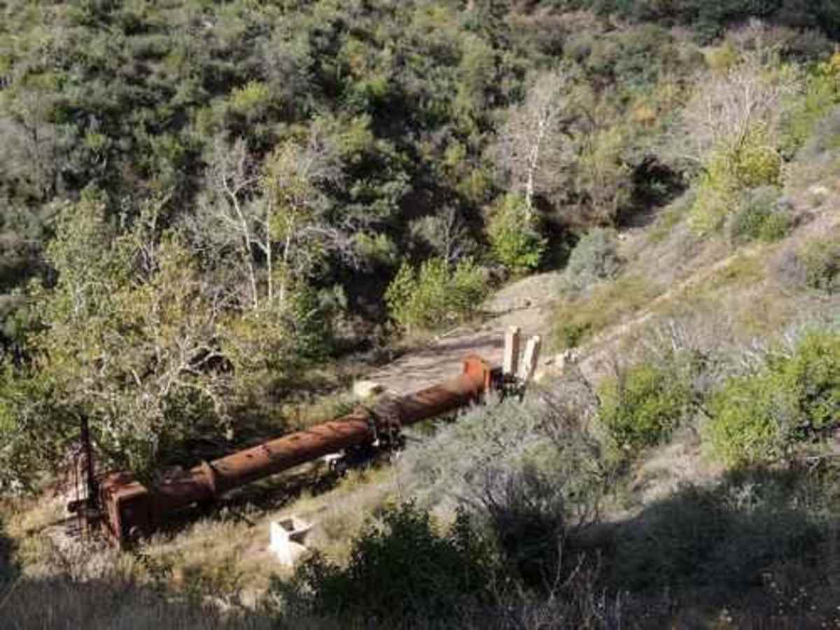 Sunflower Mine photo 4