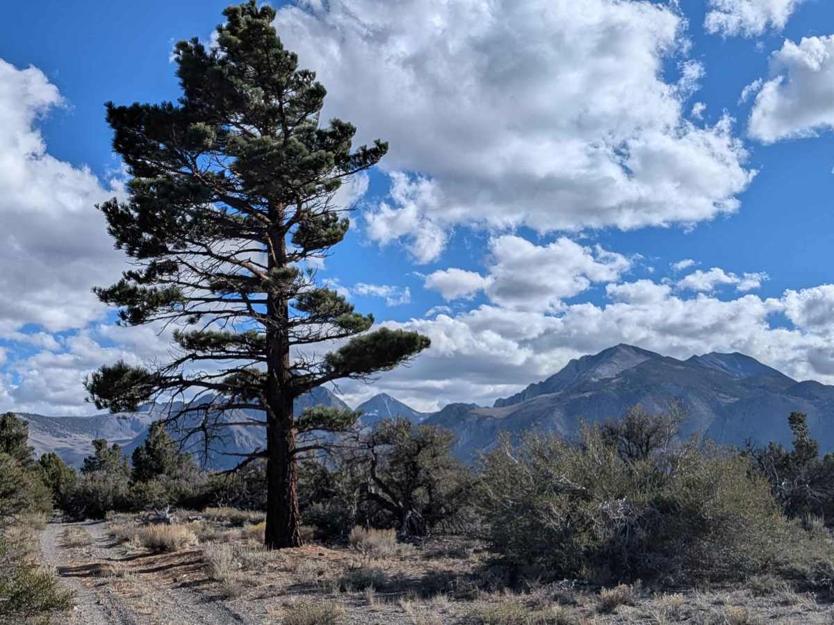 FS 3S143 trail photo