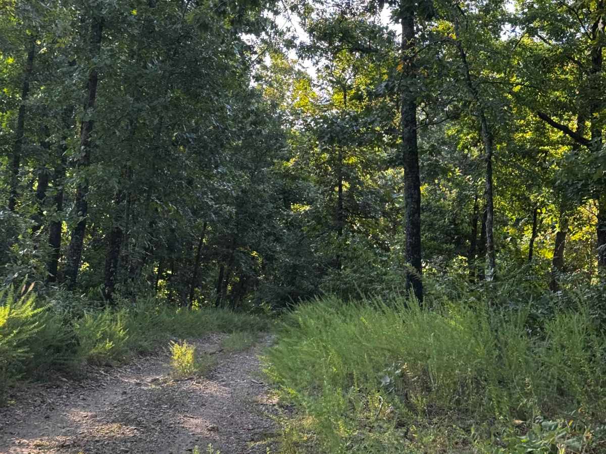 Loop 5 photo 3