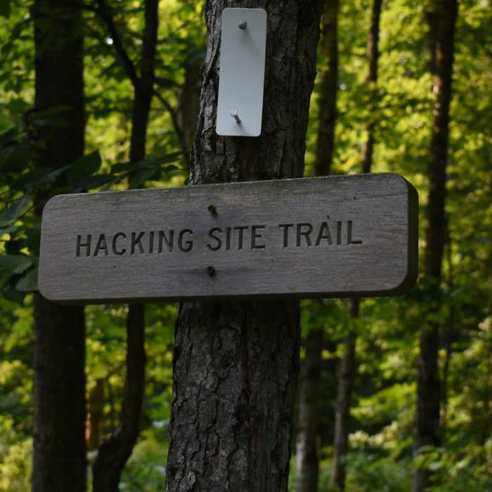 Near Hacking Site Trail Near Hacking Site Trail