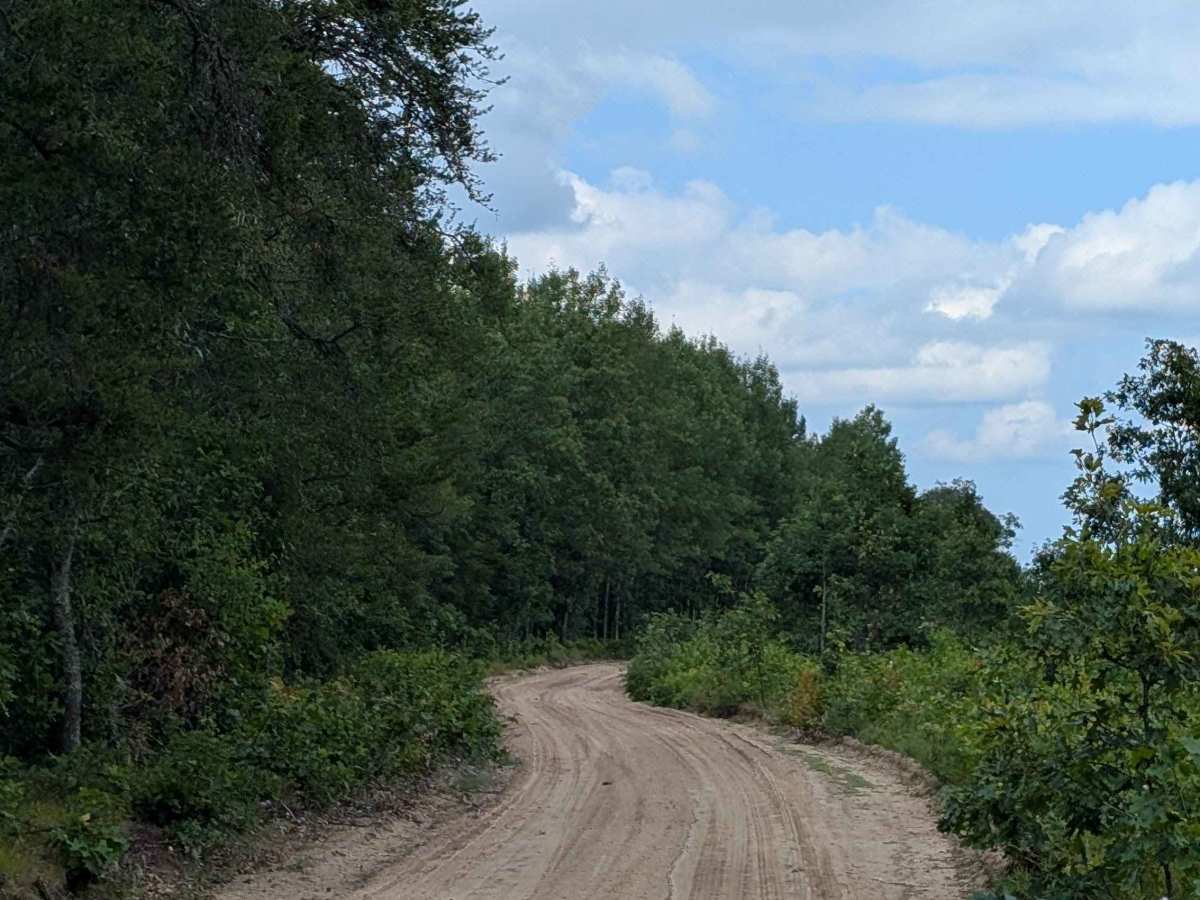 Indian Road photo 6