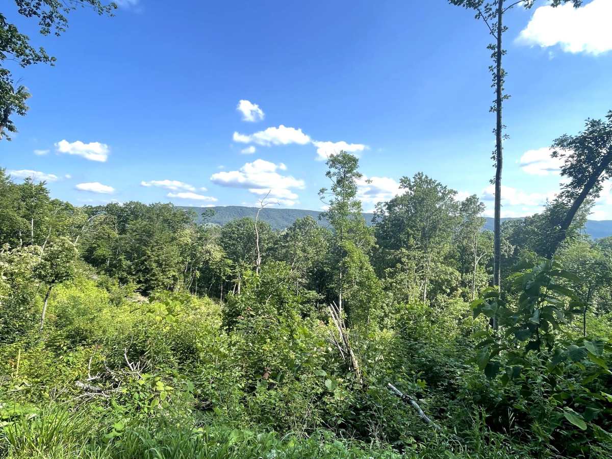 State Route 623 photo 4