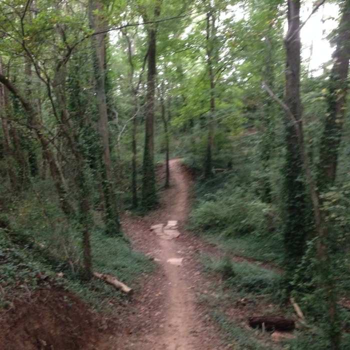 Dry creek crossing at Low Hollow Near Low Hollow Trail