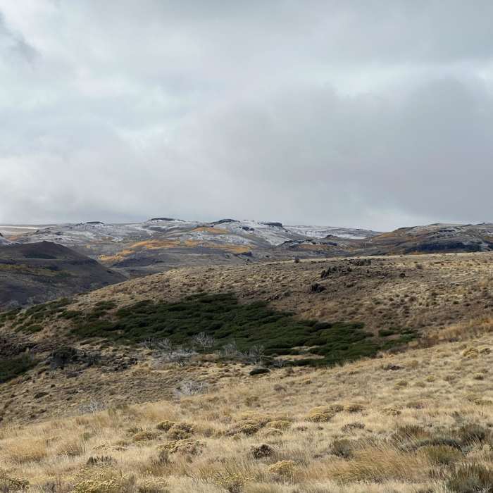 Near Little Whitehorse Road Near Little Whitehorse Road