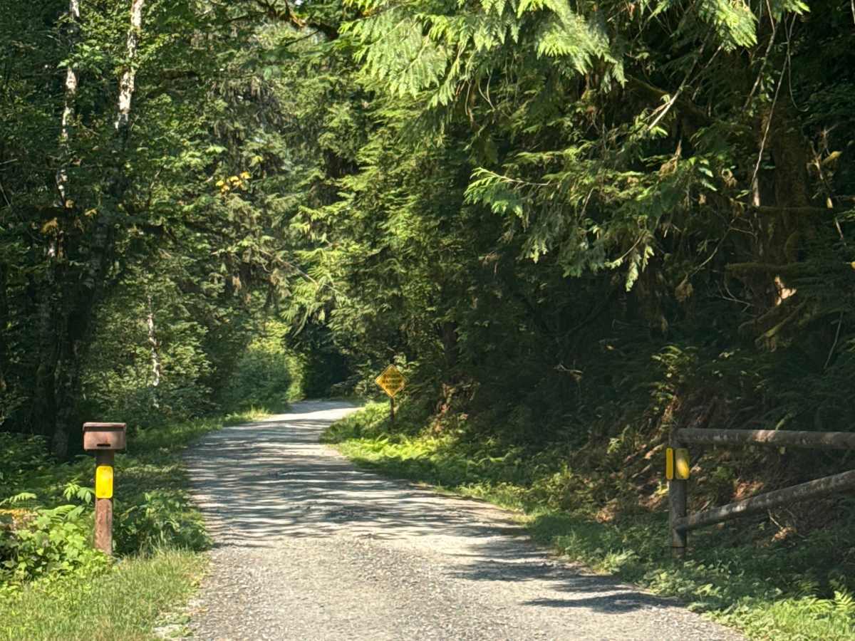 Lower Sandy Campground photo 5